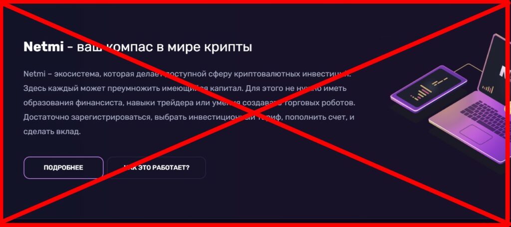 Netmi отзывы и разоблачение пирамиды!